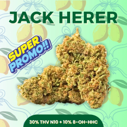 BON PLAN | Fleur 30% THV N10 + 8-OH-HHC Jack Herer