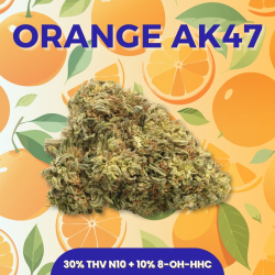 Fleur 30% THV N10 + 8-OH-HHC Orange AK47 - THV N10 - Fleur THV-N10 - THV N10 pas cher - Shoptacbd Paris