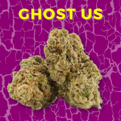 Fleur CBD Ghost US