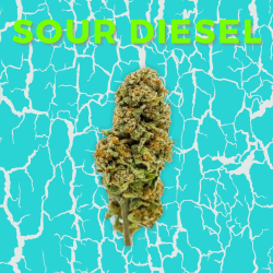 Fleur CBD Sour Diesel