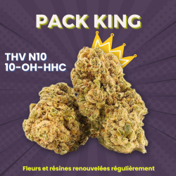 Pack du King THV N10