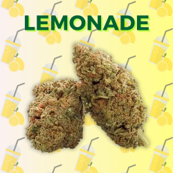 Fleur CBD Lemonade