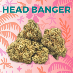 Fleur CBD Head Banger