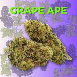 Fleur CBD Grape Ape