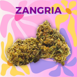 Fleur CBD Zangria
