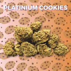 Fleur CBD Platinum Cookies