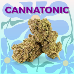 Fleur CBD Cannatonic