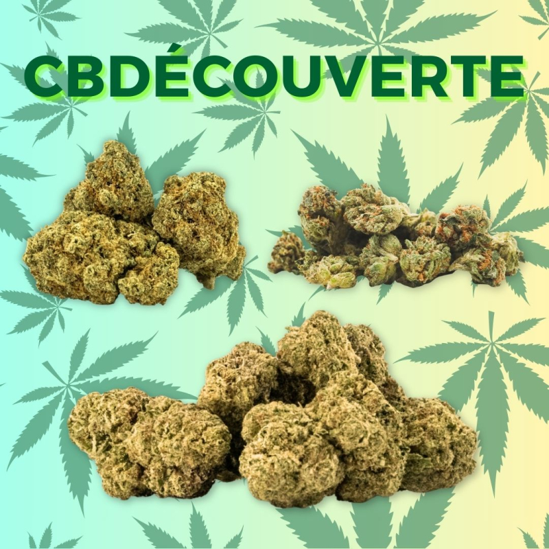 Fleur CBD - Découverte CBD - CBD Paris - Boutique de CBD Paris - Livraison CBD Paris - Shoptacbd Paris