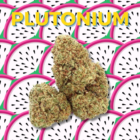 Fleur CBD Plutonium vendue par CBD Shop Shoptacbd - Fleur CBD Pas cher - CBD Paris