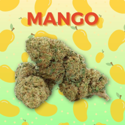 Fleur CBD Mango