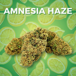 Fleur CBD Amnesia Haze