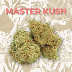 Fleur CBD Master Kush