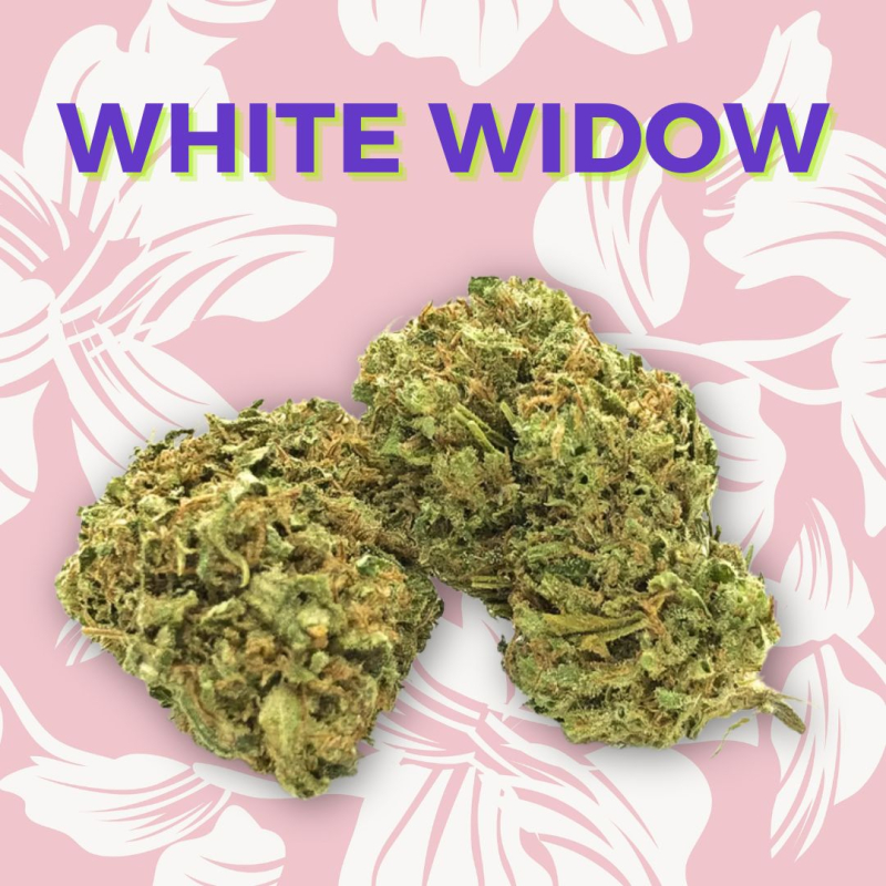 Fleur CBD - White Widow CBD - Fleur CBD pas cher - CBD Livraison - Boutique CBD en ligne
