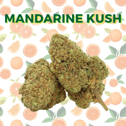 Fleur CBD Mandarine Kush