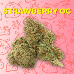 Fleur CBD Strawberry - Strawberry OG  - Sativa CBD - CBD pas cher - Shoptacbd Paris