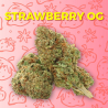 Fleur CBD Strawberry - Strawberry OG  - Sativa CBD - CBD pas cher - Shoptacbd Paris
