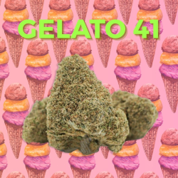 Fleur CaliWeed Gelato 41