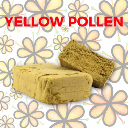 Résine CBD+CBG Yellow Pollen