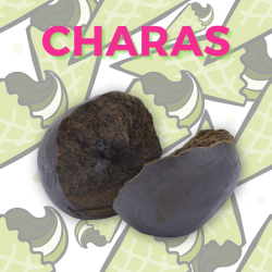 Résine CBD Charas