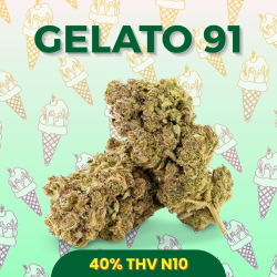 Gelato 91 THV N10 - STV10 CBD - THV N10 Puissant - THV N10 legal - Boutique THV N10 - Livraison THV N10 - Shoptacbd Paris
