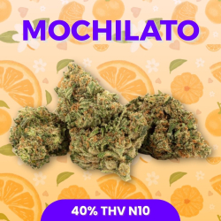 Mochilato THV N10 - CBD THV N10 - STV-10 - CBX - Alternative THC - Livraison THV N10 - Shoptacbd Paris