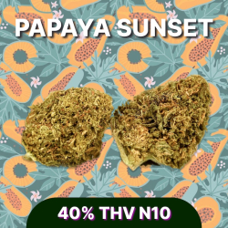 Papaya Sunset THV N10 - Fleur THV N10 - THV N10 Livraison - Boutique THV N10 - Shoptacbd Paris