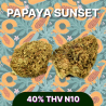 Papaya Sunset THV N10 - Fleur THV N10 - THV N10 Livraison - Boutique THV N10 - Shoptacbd Paris