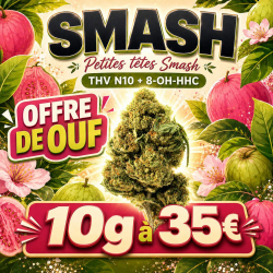 Fleur 30% THV N10 + 8-OH-HHC Smash