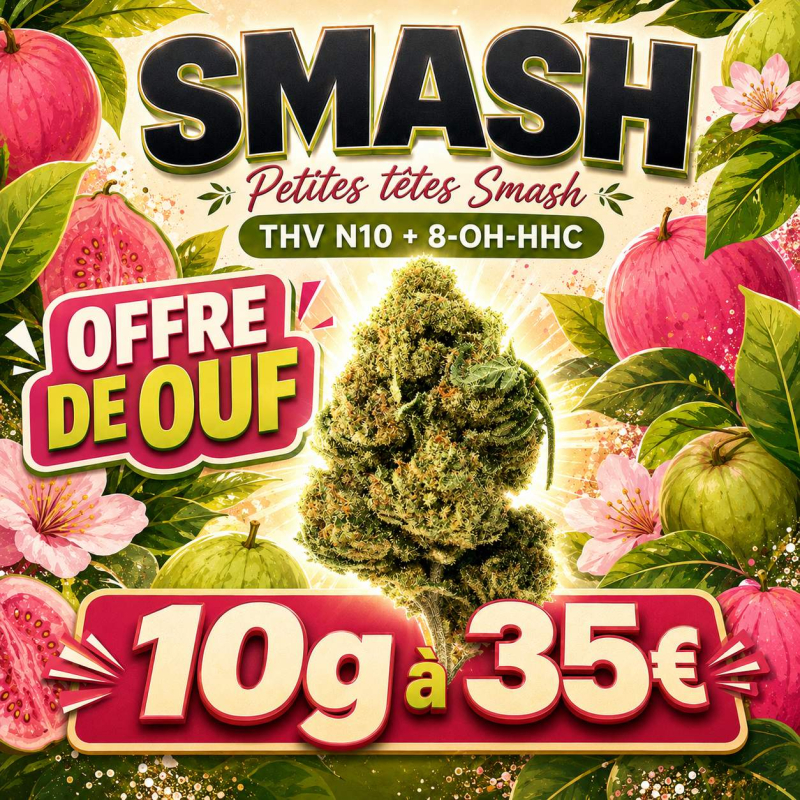 Fleur THV N10 + 8-OH-HHC Smash - Fleur THV N10 - THV puissant - Boutique THV N10 - Livraison THV N10