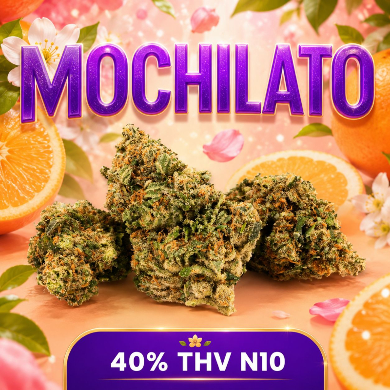 Mochilato THV N10 - CBD THV N10 - STV-10 - CBX - Alternative THC - Livraison THV N10 - Shoptacbd Paris