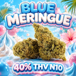 ‼️ EXTREME | Fleur 40% THV N10 Blue Meringue