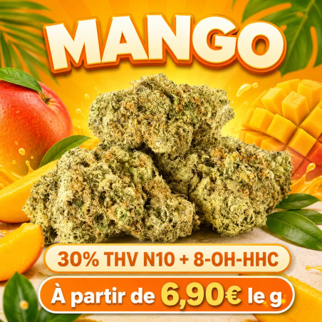 Fleur THV N10 + 8-OH-HHC Mango - Fleur THV N10 - THV puissant - Boutique THV N10 - Livraison THV N10