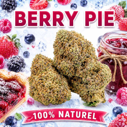 Fleur CBD - Berry Pie
