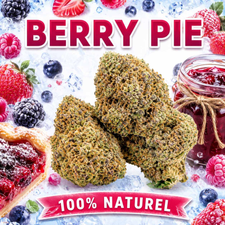 cbd discount - cbd pas cher - fleur cbd - livraison cbd paris - boutique de cbd fiable