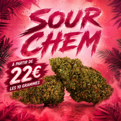 Fleur CBD - Soum Chem