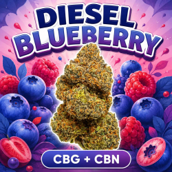 NATURELLEMENT PUISSANT I Diesel Blueberry