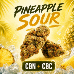 NATURELLEMENT PUISSANT I Pineapple Sour