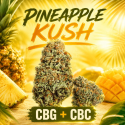 NATURELLEMENT PUISSANT I Pineapple Kush