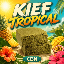 NATURELLEMENT PUISSANT I Résine Kief Tropical