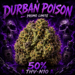 Durban Poison THV N10 - Fleur THV N10 CBD - Shoptacbd Paris - Livraison THV N10 - CBD Shop Paris Shoptacbd