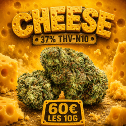 ‼️ EXTREME | Fleur 37% THV N10 Cheese