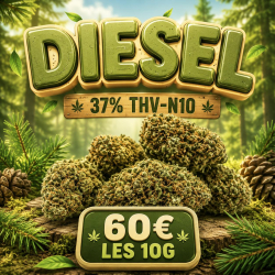 ‼️ EXTREME | Fleur 37% THV N10 Diesel