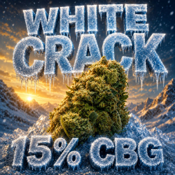 NATURELLEMENT PUISSANT I White Crack