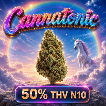 Fleur THV N10 - THV N10 Puissant - Boutique THV N10 pas cher - THV N10 code promo - Livraison THV N10 - Shoptacbd Paris