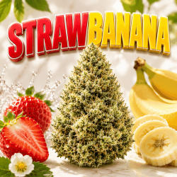 NATURELLEMENT PUISSANT I StrawBanana