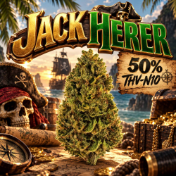 ‼️ EXTREME | Fleur 50% THV N10 Jack Herer