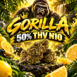 ‼️ EXTREME | Fleur 50% THV N10 Gorilla