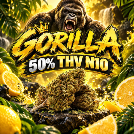 fleur thv n10 Gorilla - THV-N10 - THV N10 Livraison - THV N10 légal - Shoptacbd Paris