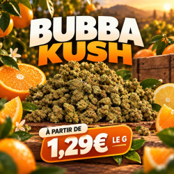 Small Buds CBD - Bubba Kush