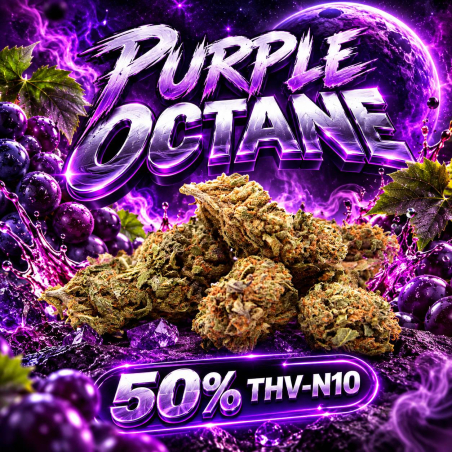 Fleur THV N10 Purple Octane - Fleur THV N10 - CBD THV N10 - 10-OH-HHC Puissant - Shoptacbd Paris
